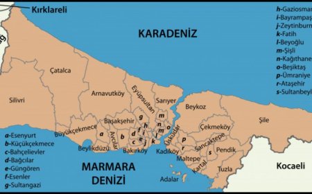 İstanbul İlçe Belediyeleri Kent Bilgi Sistemi Tam Liste