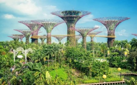 Dünyadaki 10 Akıllı Şehir