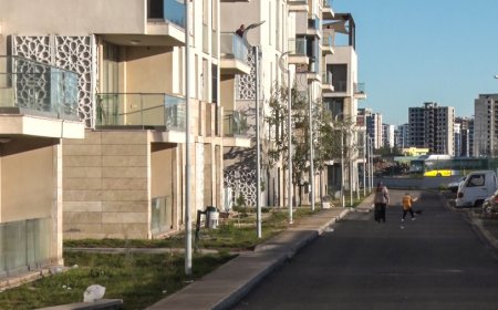 Diyarbakır'da Kentsel Dönüşüm ve Yenileme Hamlesi 2024